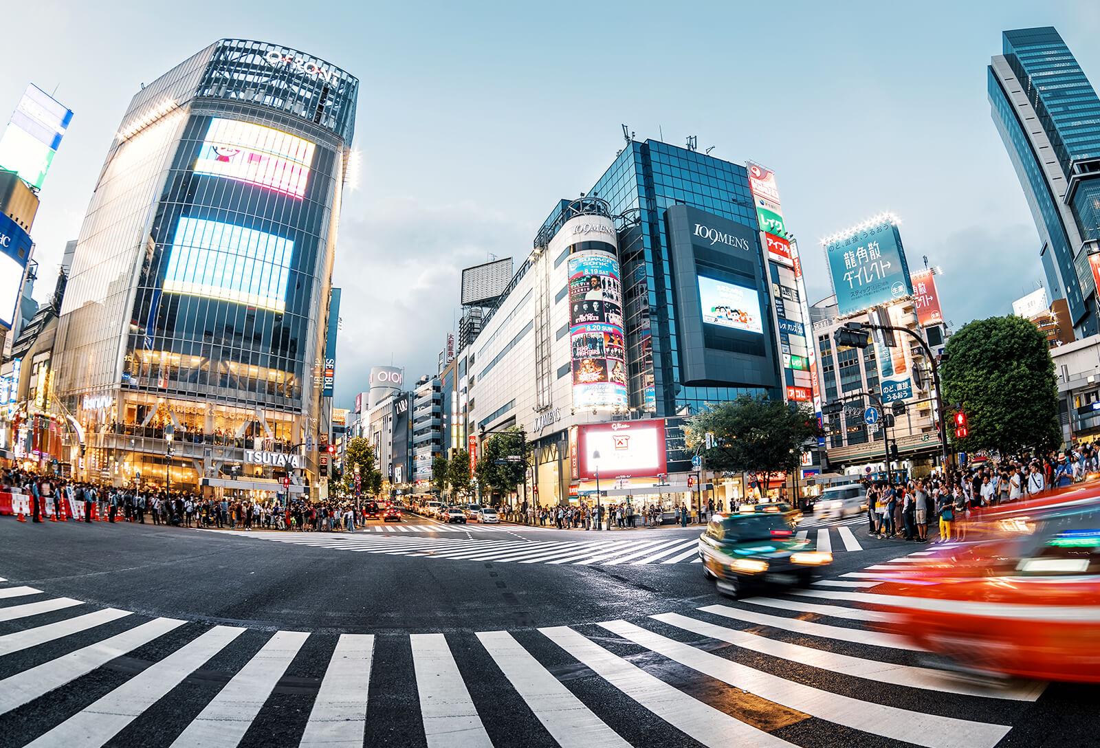 専門家の「目」