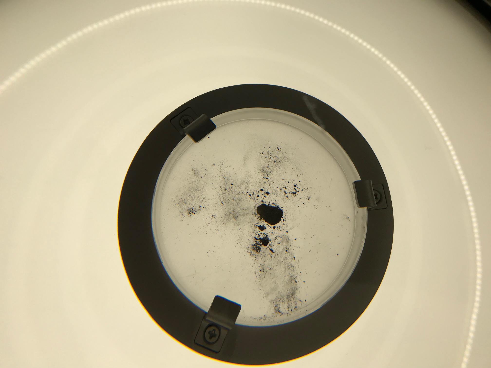 写真1 月の裏側から持ち帰った土壌